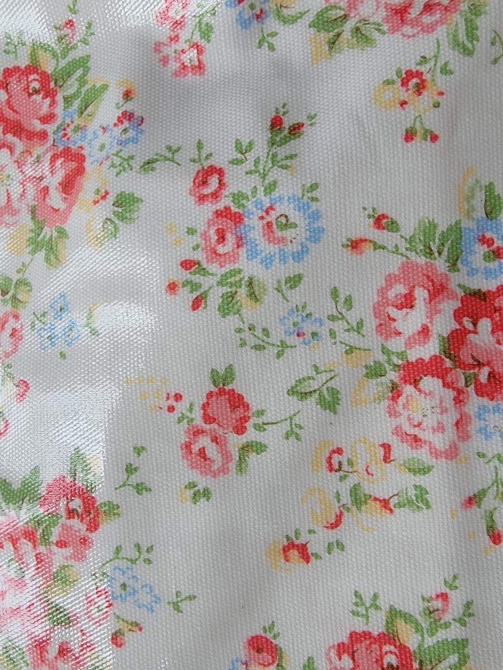 Women’s Floral Print Tote Bag in White and Pink